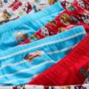 1,5–7 lat | 6-pak majtek z motywem „Paw Patrol”