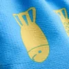 1,5–9 lat | szorty kąpielowe z nadrukiem ryb