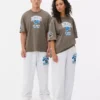 Koszula z logo Detroit Lions z ligi NFL