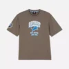 Koszula z logo Detroit Lions z ligi NFL