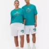 Koszula z logo Miami Dolphins z ligi NFL