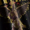 Koszula z nadrukiem „Nirvana Angel”