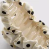 Spinka w kropki